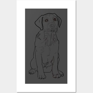 Dog Drawing Posters and Art